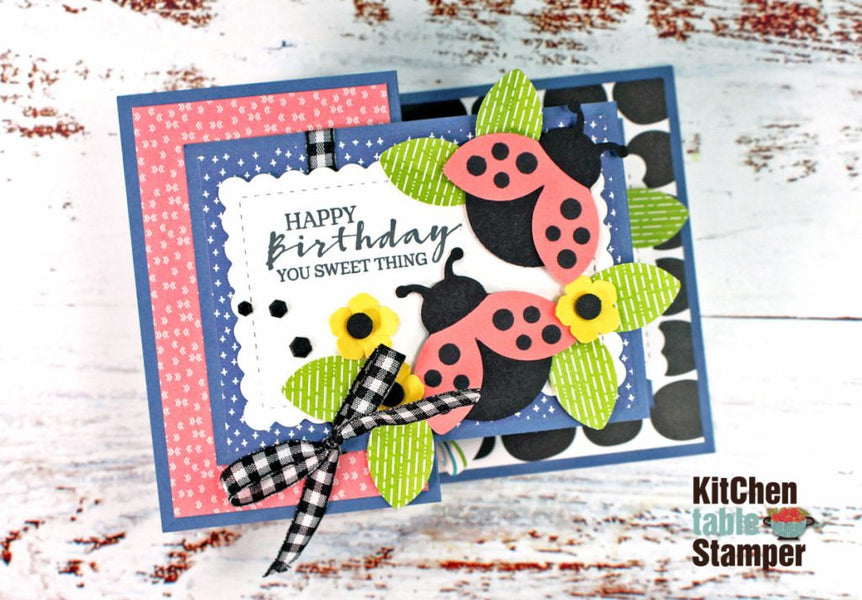 How to make a Double Z Fold Card with Hello Ladybug Bundle